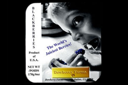 Denton photographers